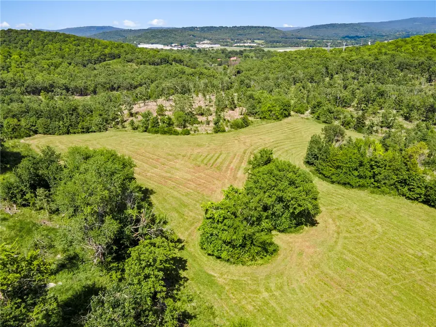 Letitia Avenue, Greenland, AR 72701 - #3