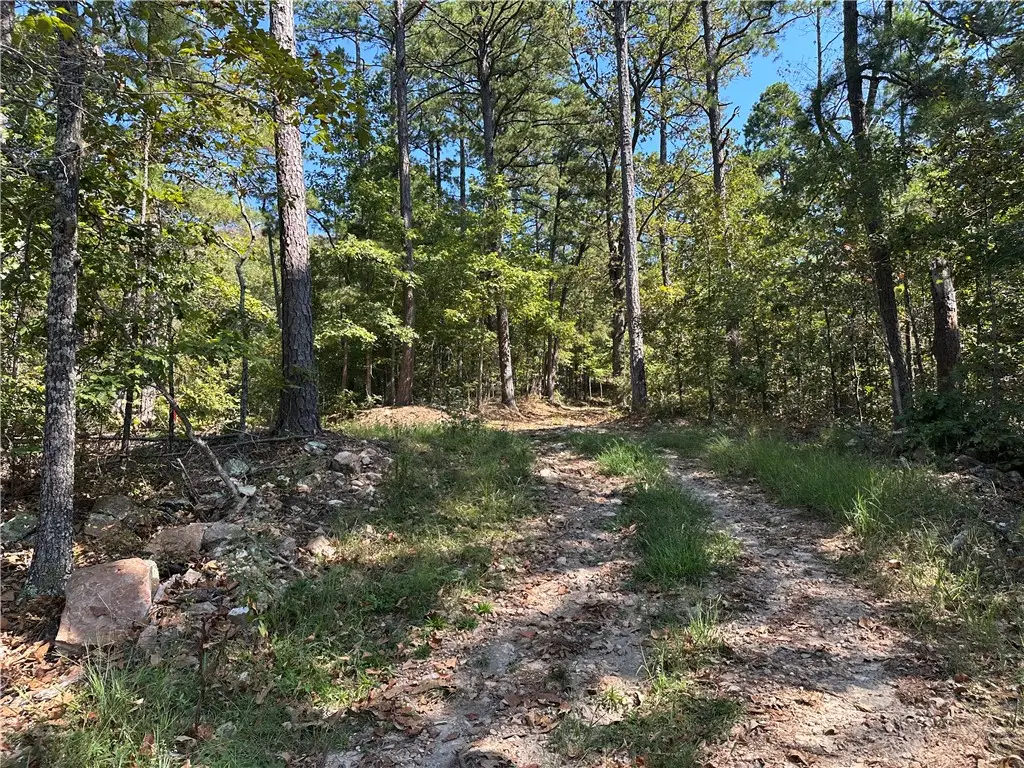 Cane Branch, Western Grove, AR 72685 - #1