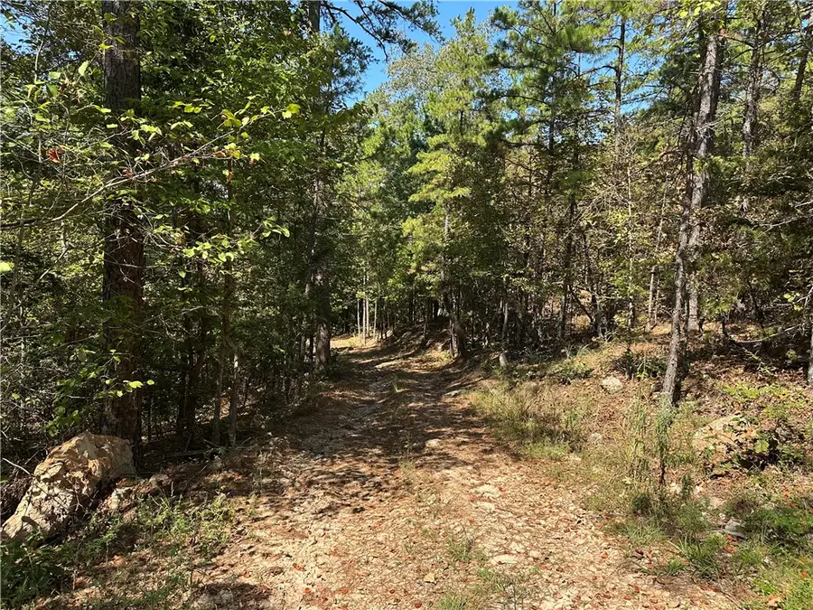 Cane Branch, Western Grove, AR 72685 - #2
