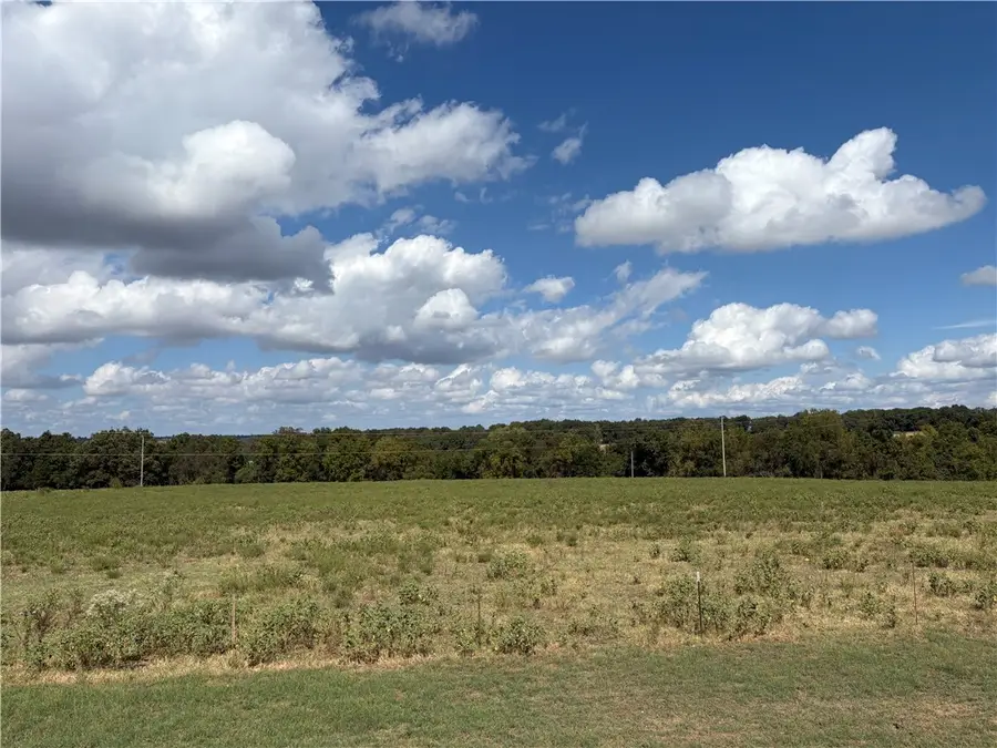 349 County Road 942, Green Forest, AR 72638 - #2