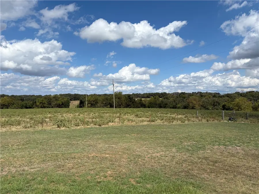 349 County Road 942, Green Forest, AR 72638 - #3