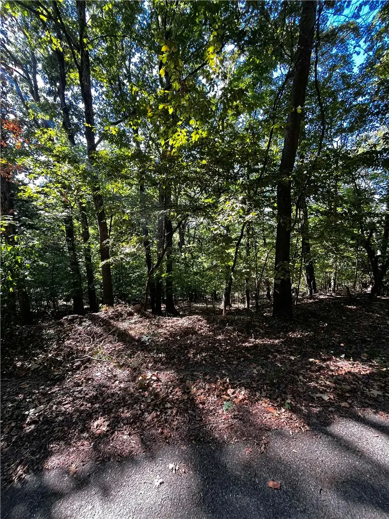Woodside Lane, Holiday Island, AR 72631 - #3