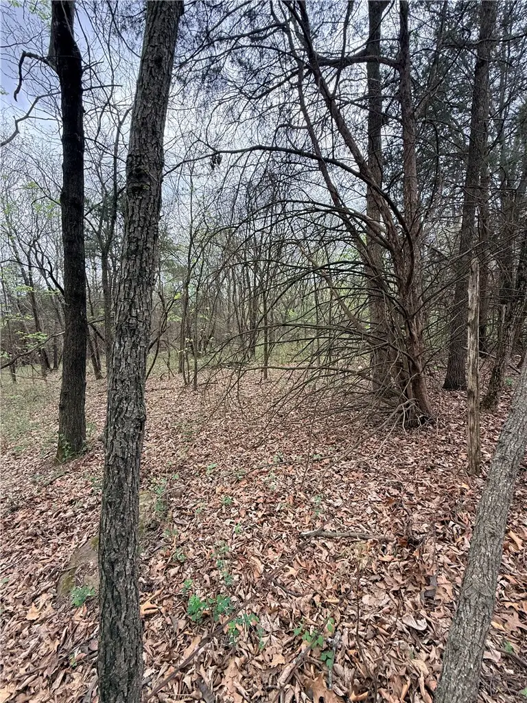Lot 4 Cr-906, Green Forest, AR 72638 - #1