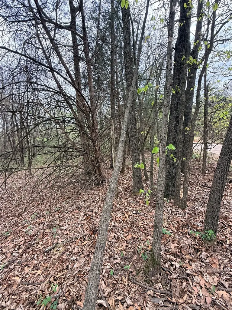Lot 4 Cr-906, Green Forest, AR 72638 - #2
