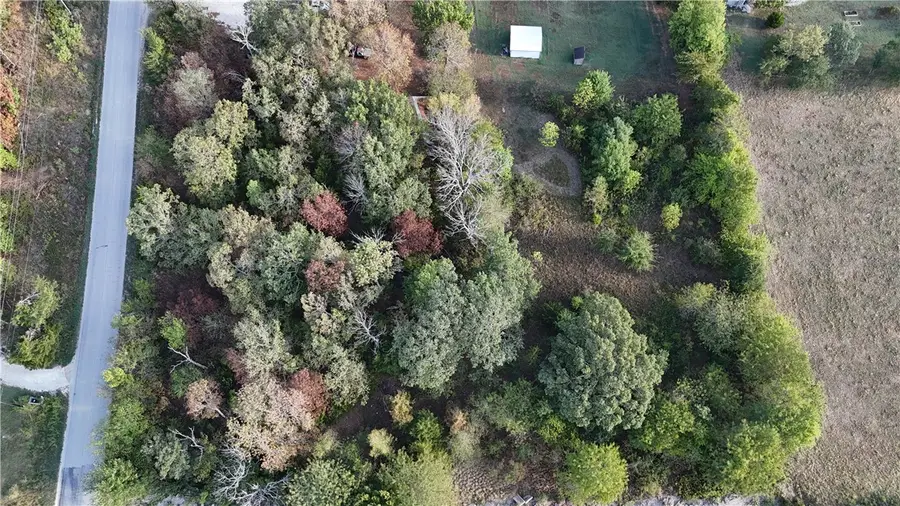 10772 SW Campbell Road, Greenland Township, AR 72701 - #2
