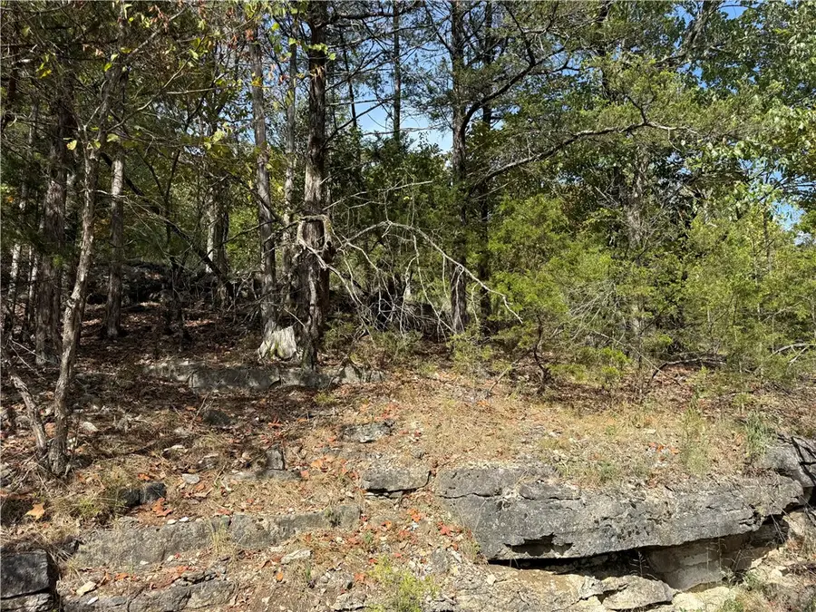 16 Oak Point Lane, Holiday Island, AR 72631 - #2
