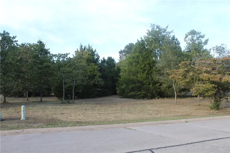 Lots 65 & 66 Winterview, Bull Shoals, AR 72619 - #3