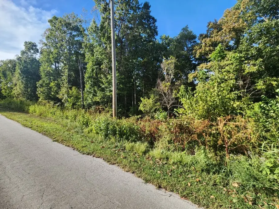 Lot 1 Eriboll Lane, Bella Vista, AR 72715 - #3