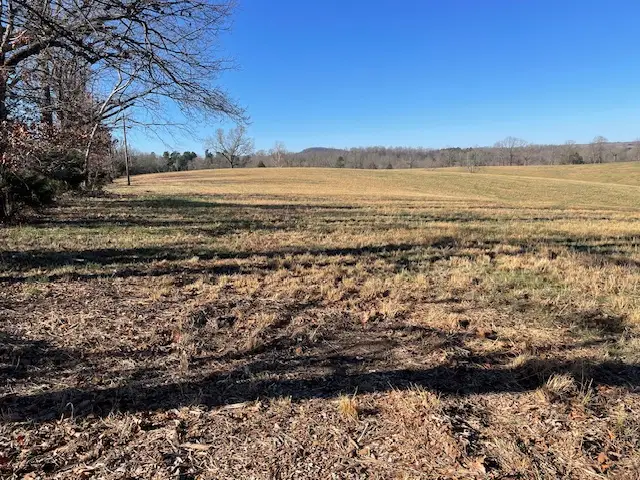 001-07136-002 N Tomahawk Church Road, Saint Joe, AR 72675 - #2