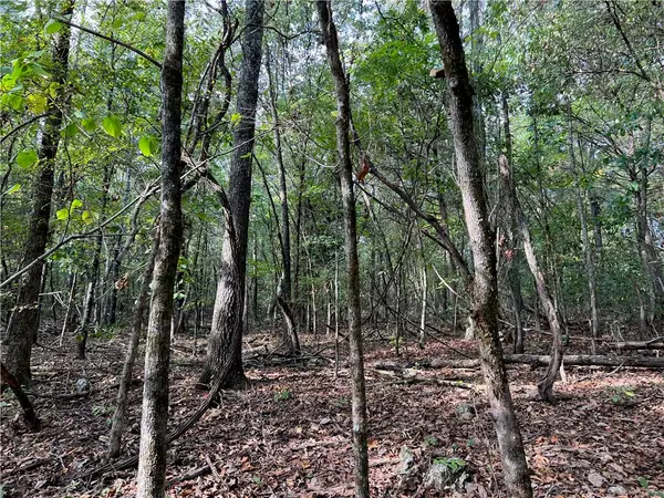 Fairview Drive, Harrison, AR 72601