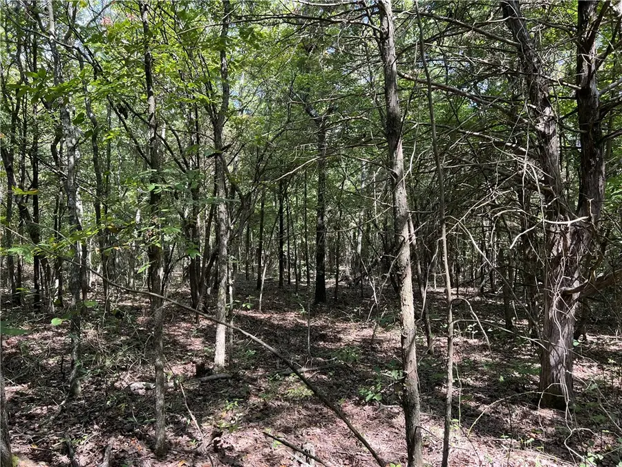Fairview Drive, Harrison, AR 72601 - #3
