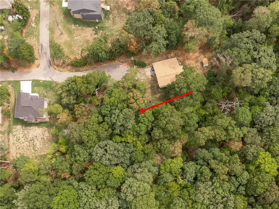 Lot 9 Richmond Lane, Bella Vista, AR 72714 - #2