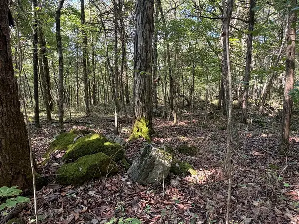 TBD Nc 7460, Deer, AR 72628