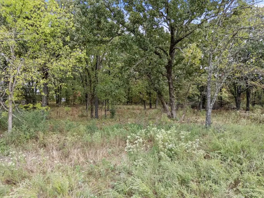 TBD S Elm Street, Siloam Springs, AR 72761 - #2