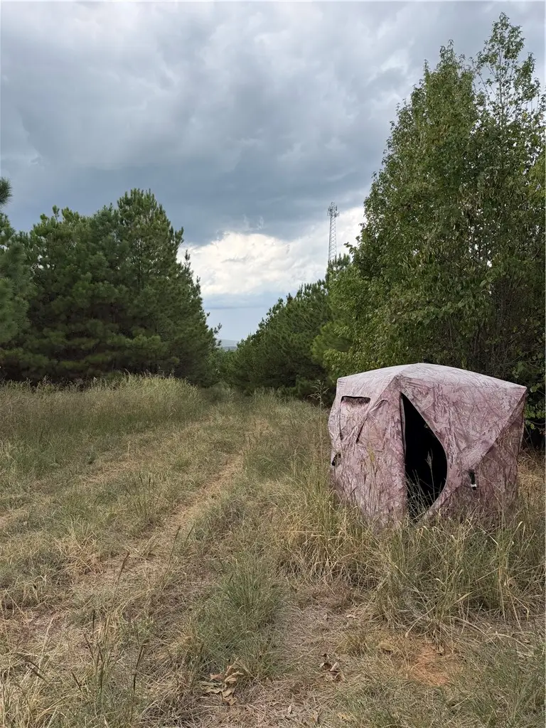 Hwy 333, Clark, AR 72812 - #3