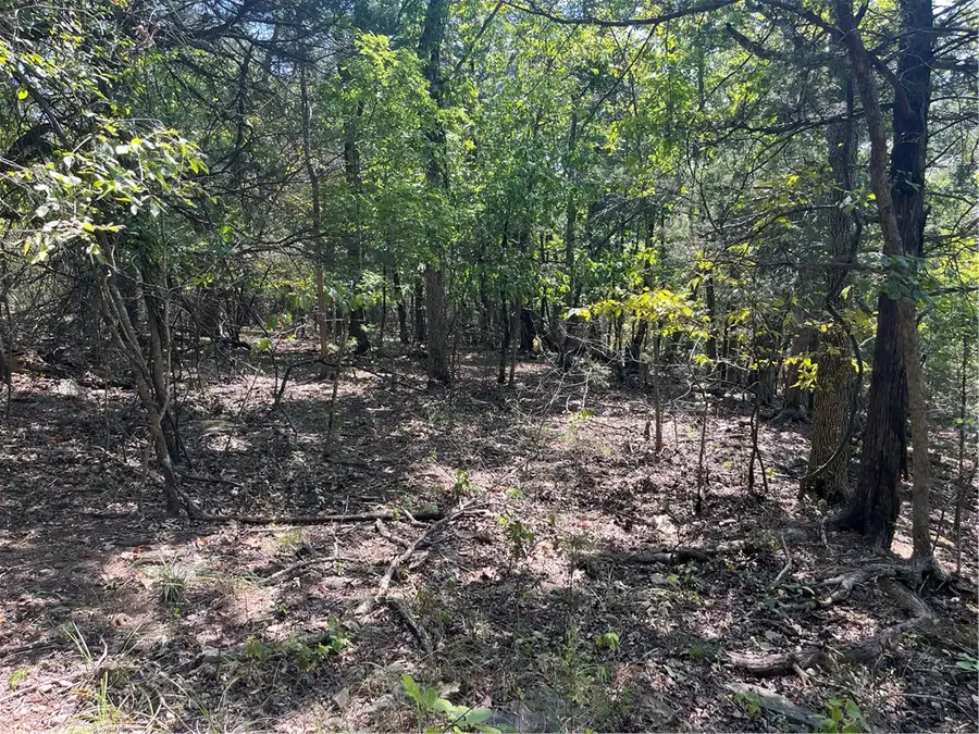 345 Mc 8112, Yellville, AR 72687 - #3