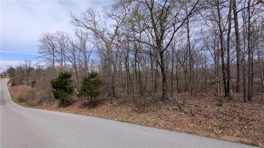 Lot 17 Kirkpatrick Lane, Bella Vista, AR 72715 - #2