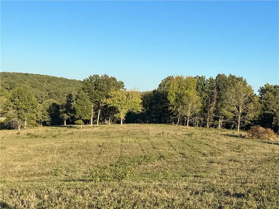 Parks Road, Harrison, AR 72601 - #2