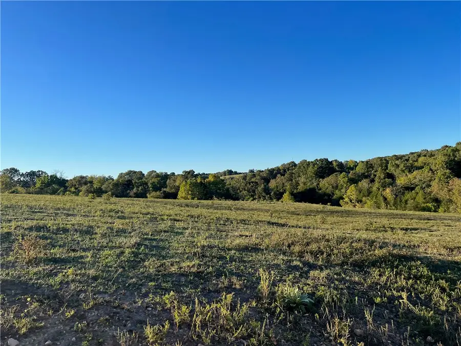 Parks Road, Harrison, AR 72601 - #3
