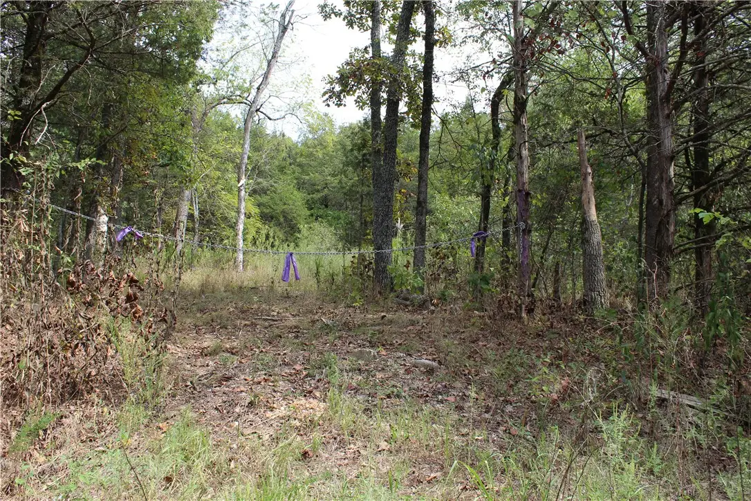 TBD Cr-2322, Beaver Township, AR 72631 - #1