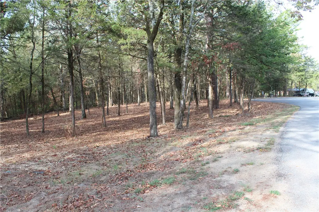 Address Withheld By Seller, New Blaine, AR 72851 - #1
