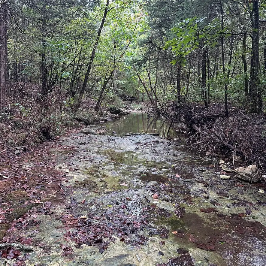 80.80 Acres Hwy 221 South, Berryville, AR 72616 - #1