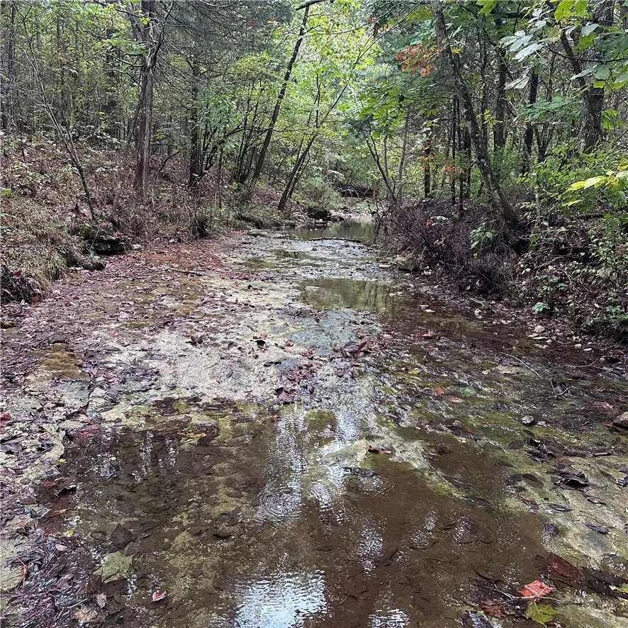 80.80 Acres Hwy 221 South, Berryville, AR 72616 - #2