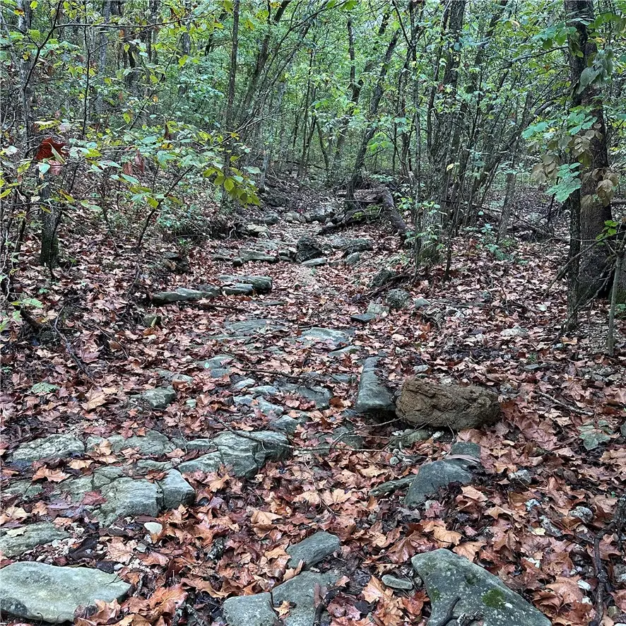 80.80 Acres Hwy 221 South, Berryville, AR 72616 - #3