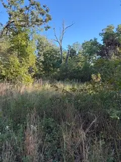 690 Grand Lane, Anderson, MO 64831 - #3