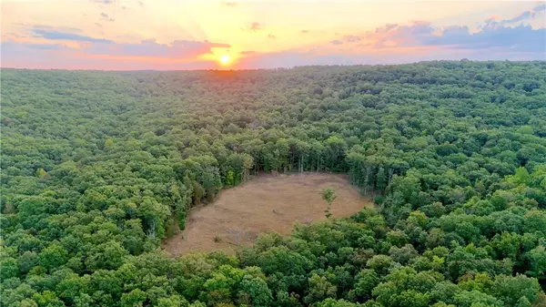 3975 Nc 9560, Pettigrew, AR 72752