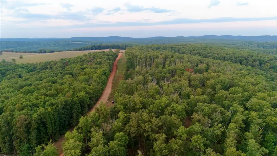 3975 Nc 9560, Pettigrew, AR 72752 - #2