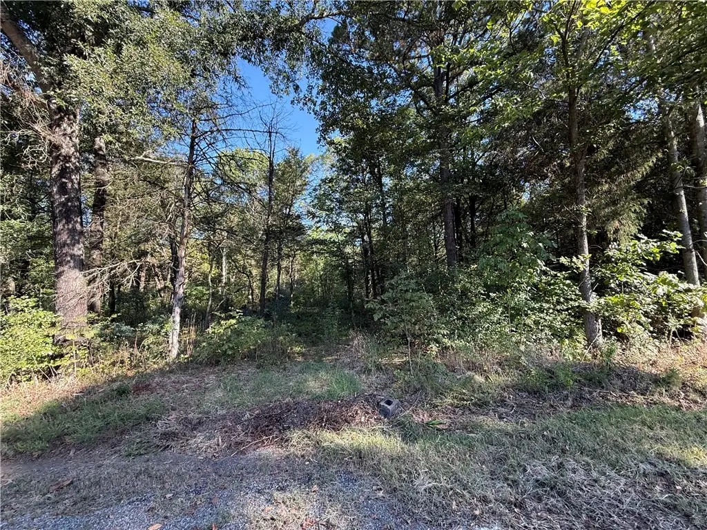 TBD Deerwood Lane Lane, Dardanelle, AR 72834 - #1