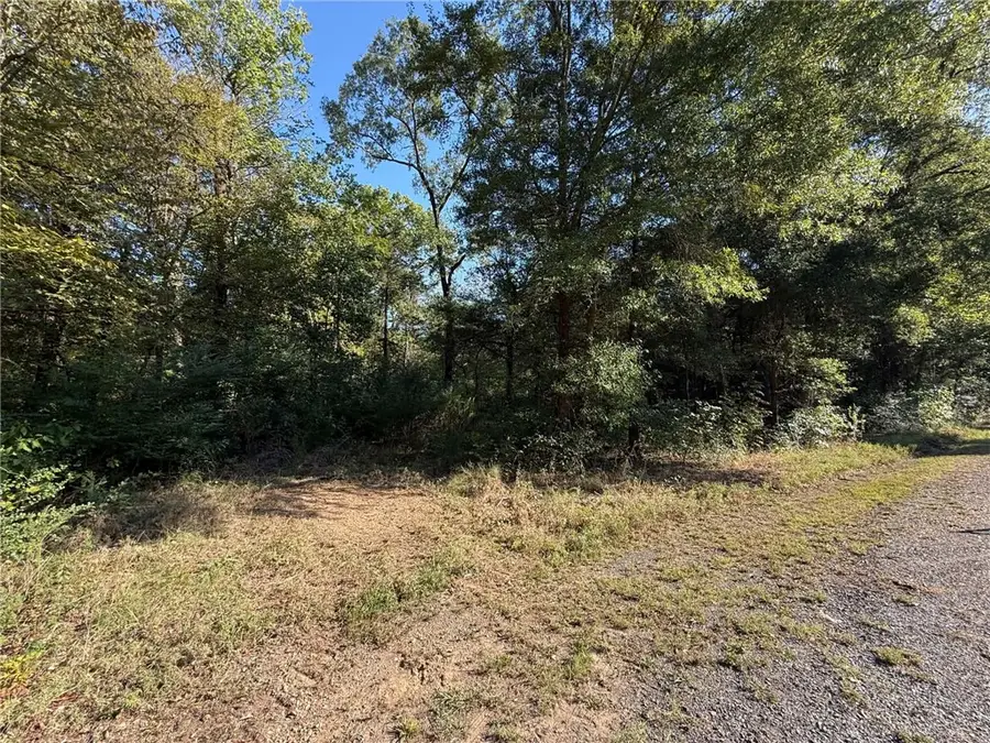 TBD Deerwood Lane Lane, Dardanelle, AR 72834 - #2