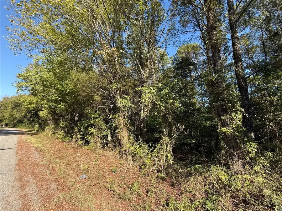 TBD Deerwood Lane Lane, Dardanelle, AR 72834 - #3