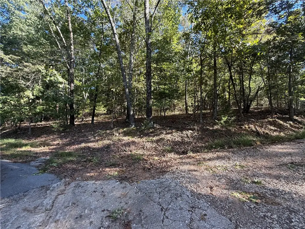 SW Maud Duncan Road, Winslow, AR 72959 - #1