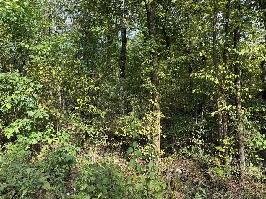 001 Madison 5320, Huntsville, AR 72740 - #2