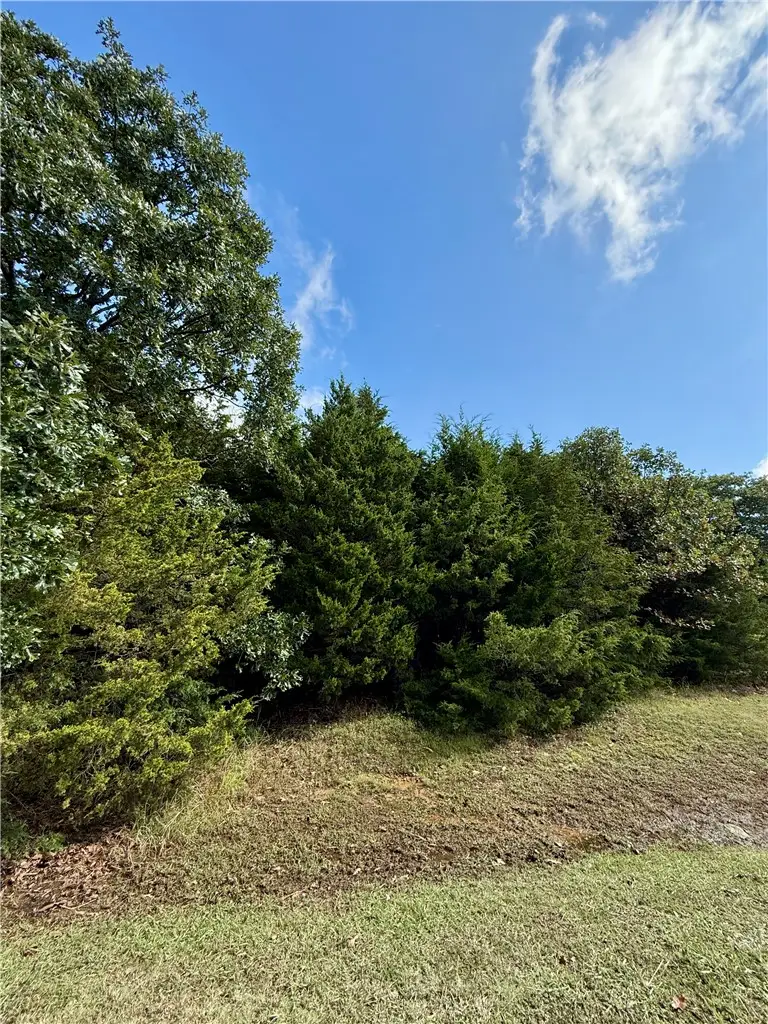 Lot 60 Lodge Drive, Garfield, AR 72732 - #2