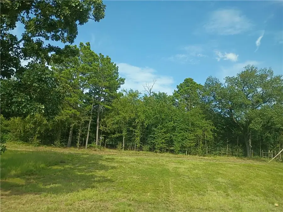 615 Turnbow Lane, Russellville, AR 72802 - #3
