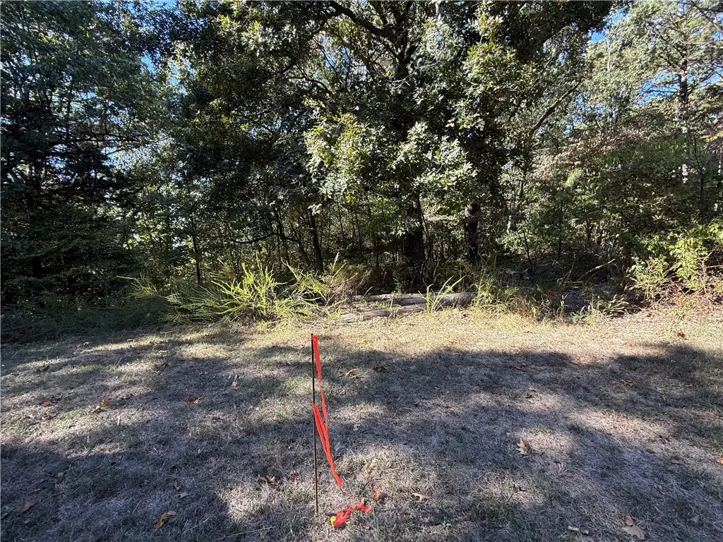 Tract D Silver Ridge Road, Eureka Springs, AR 72632 - #1