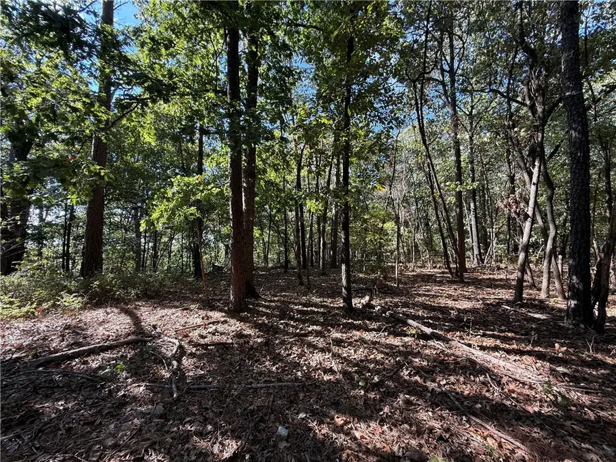 Tract D Silver Ridge Road, Eureka Springs, AR 72632 - #3