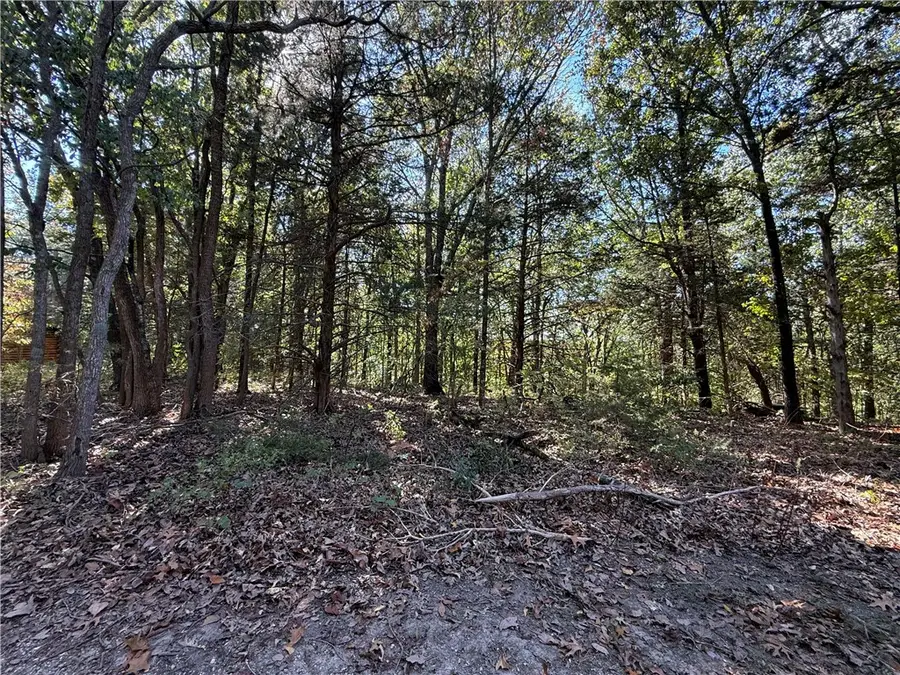 Tract B Silver Ridge Road, Eureka Springs, AR 72632 - #3