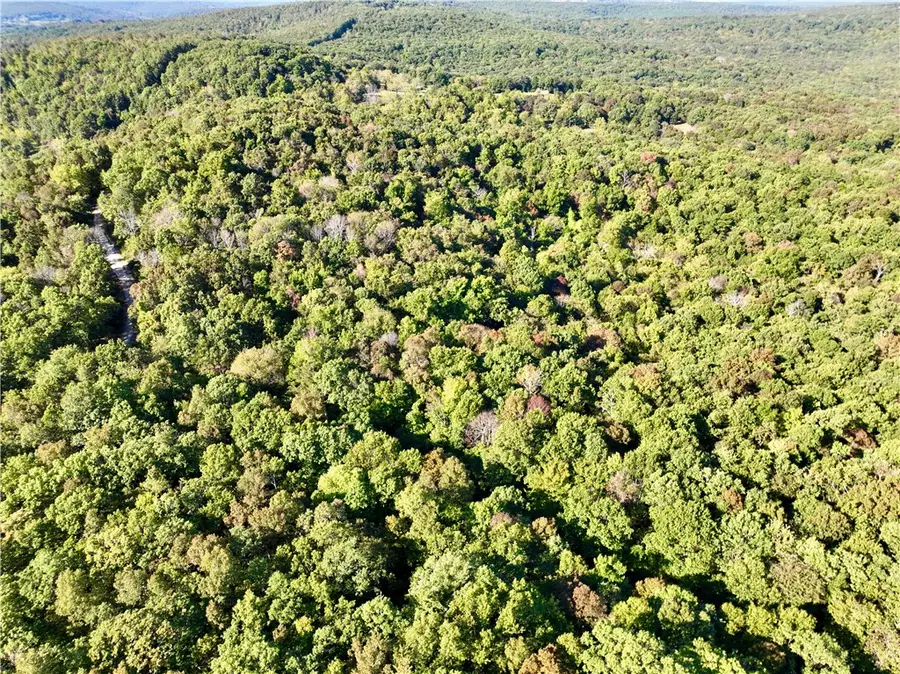 TBD Madison 2600, Huntsville, AR 72740 - #3