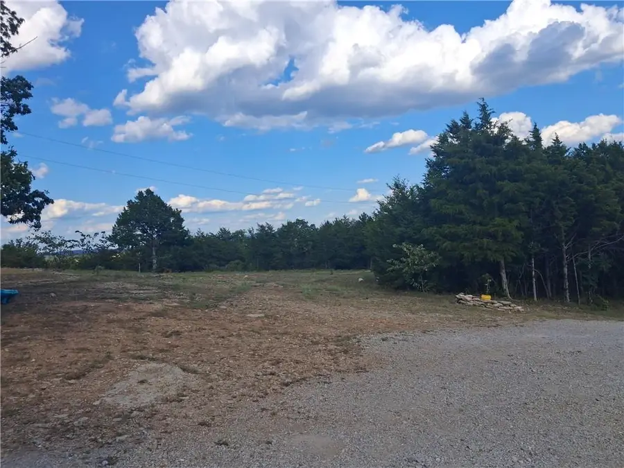 3369 County Road 219, Berryville, AR 72616 - #3