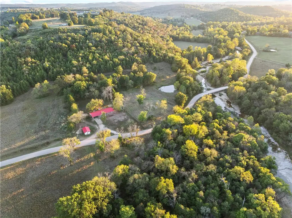 15470 Cedar Grove Road, Lead Hill, AR 72644 - #1