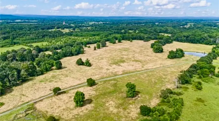 40 Acre Lot, Atkins, AR 72823 - #2