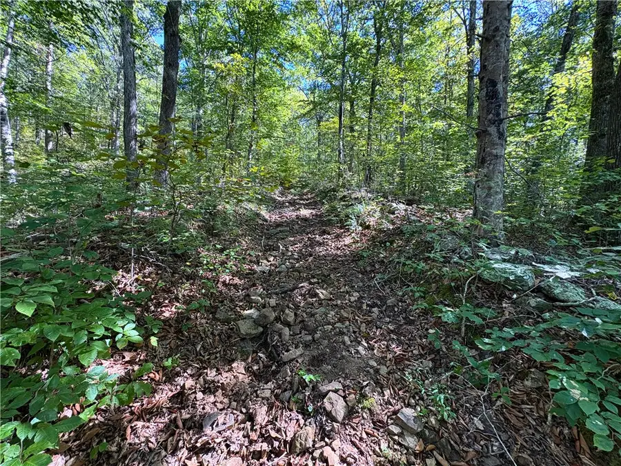000 Panther Creek Road, Mulberry, AR 72854 - #3