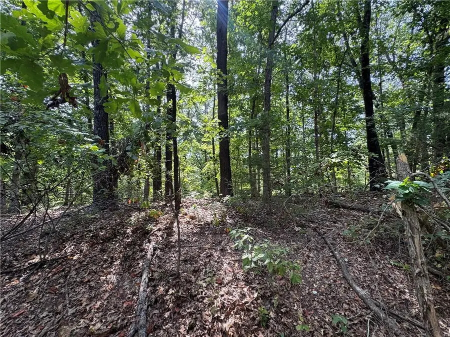 Lot 32, Block 6 Grantham Drive, Bella Vista, AR 72714 - #3