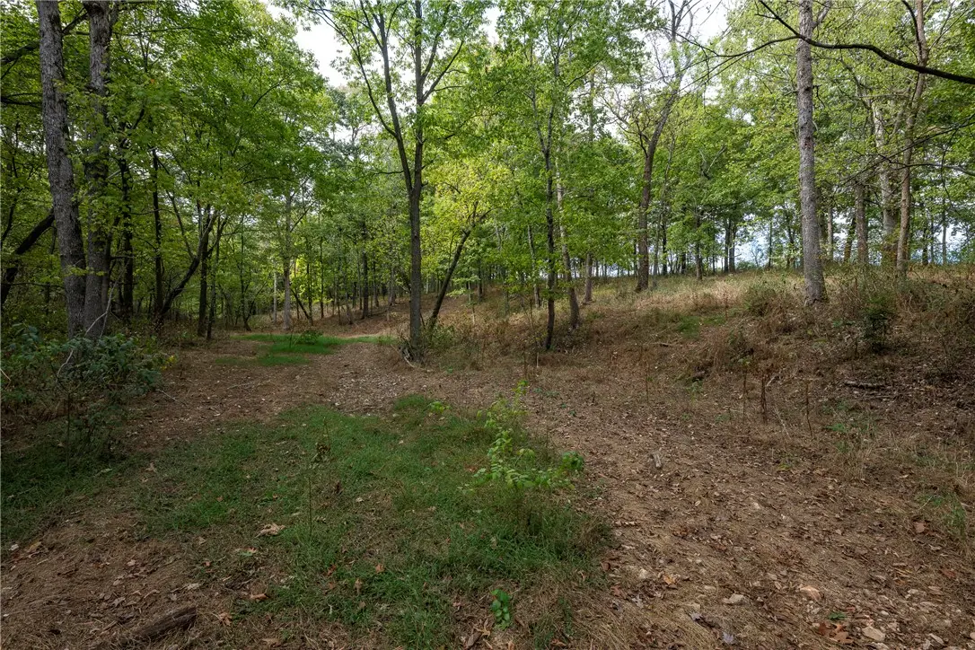 10107 Noah Road #Tract 1, Gravette, AR 72736 - #1
