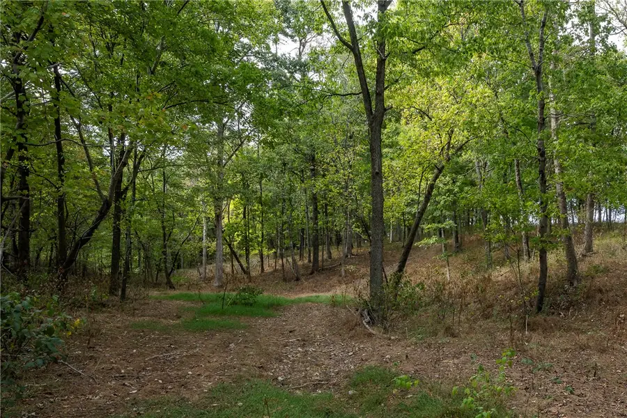10107 Noah Road #Tract 1, Gravette, AR 72736 - #2