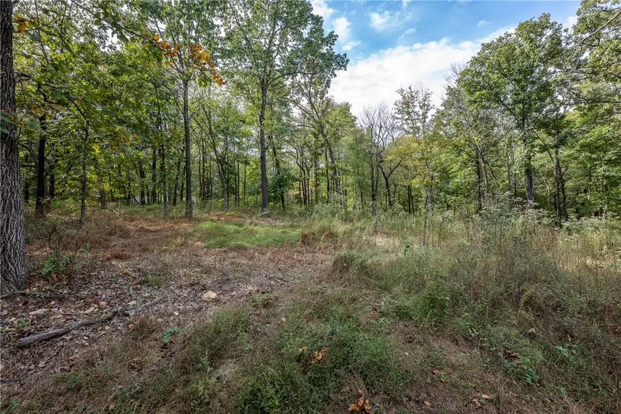 10107 Noah Road #Tract 3, Gravette, AR 72736 - #2